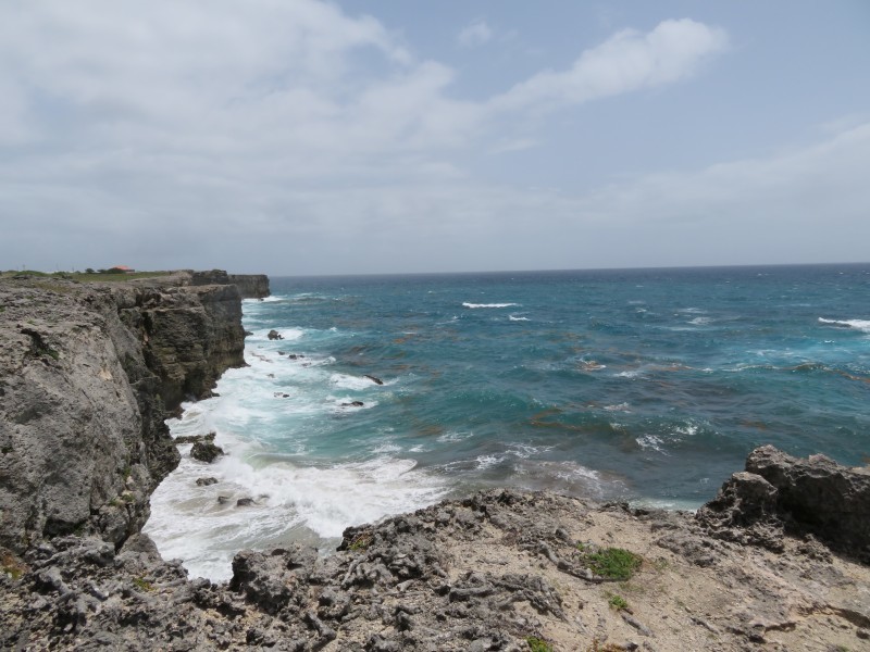 Land For Sale in Coles Barbados